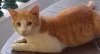IMG_20190409_100754857~01.jpg