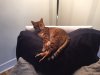 IMG-20161117-WA0001.jpg