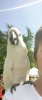 scv20190513_163848.jpeg