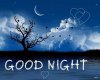 FB_IMG_1552169437092.jpg