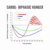 Biphasic hunger.jpg