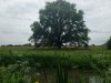 scv20190602_193417 (1).jpeg