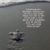FB_IMG_1559982877740.jpg