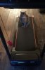 churchill on treadmill small.JPG
