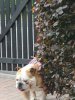 IMG_20190622_150857.jpeg