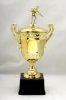 posh cup.jpg