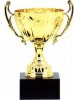 shiny cup.jpg