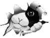 eye0013.gif