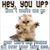 good_morning_greetings_funny_large.jpg