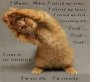 Funnt-Kitty-Morning-Quote.jpg