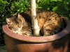 June06 017.jpg