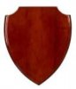 shield.jpg