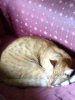 IMG_20190531_151241524.jpeg