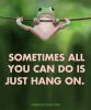 FB_IMG_1540531916947.jpg