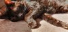 A285A12D-D12C-4B85-A304-C746CB01C777.jpeg