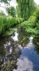 DSC_0724.JPG