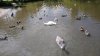 DSC_0734.JPG