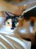 20190704_074305.jpeg
