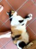 20190704_074226.jpeg