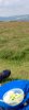 E752D61A-ED92-4F4A-A0AD-145B8245F822.jpeg