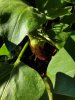 20190710_084500.jpeg