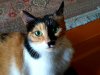 20190712_194059.jpeg