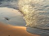20190714_062729.jpeg
