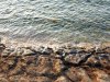 20190714_062524.jpeg