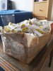 IMG_20190715_105249.jpeg