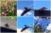 A3179117-1C6C-489D-9B9D-06AD76105623.jpeg