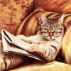 cat-glasses-book-learn-diy-diamond-painting.jpg