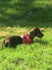 IMG_0586.jpg