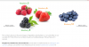 Screenshot 2019-08-01 at 09.51.32.png