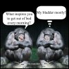FB_IMG_1565096370122.jpg