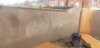 20190809_173054_resized.jpg
