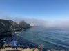 IMG_0945.jpg