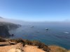 IMG_0954.jpg