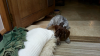 upload_2019-8-19_12-58-20.png