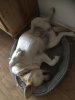 097D8268-0954-46A5-9879-EAD508622ED1.jpeg