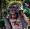 FB_IMG_1563172581381.jpg
