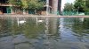 DSC_1132 - Edited.jpg