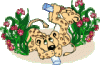 upload_2019-9-8_14-15-26.gif