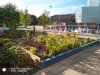 community garden.jpg