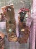 IMG_2809.jpeg