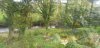 20191024_135528_resized.jpg