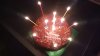 DSC_1268 (2) - Edited.jpg