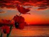 FB_IMG_1572522004811.jpg