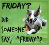 FB_IMG_1573807914936.jpg