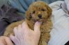 upload_2019-11-16_9-42-27.jpeg