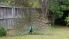 20191116_110503.jpeg